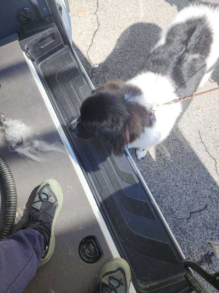 Maggie
