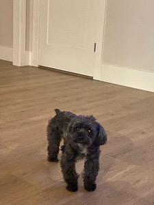 Chloe 