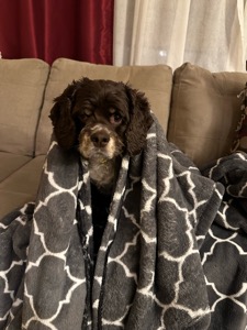 Ella