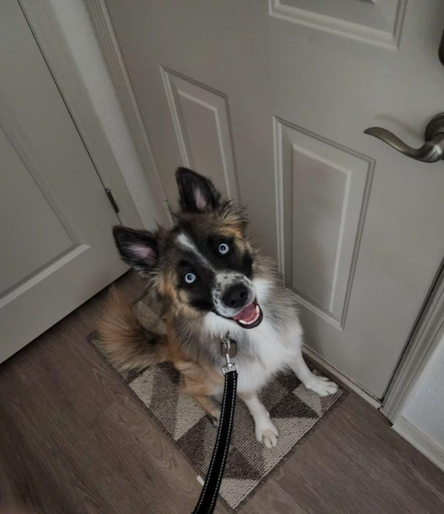 Finley