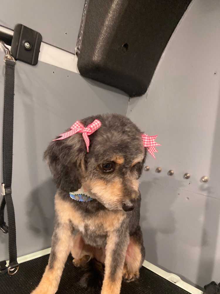Molly