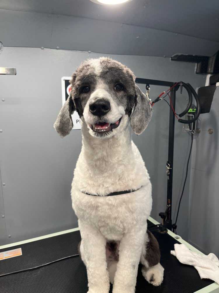 Stanley 
