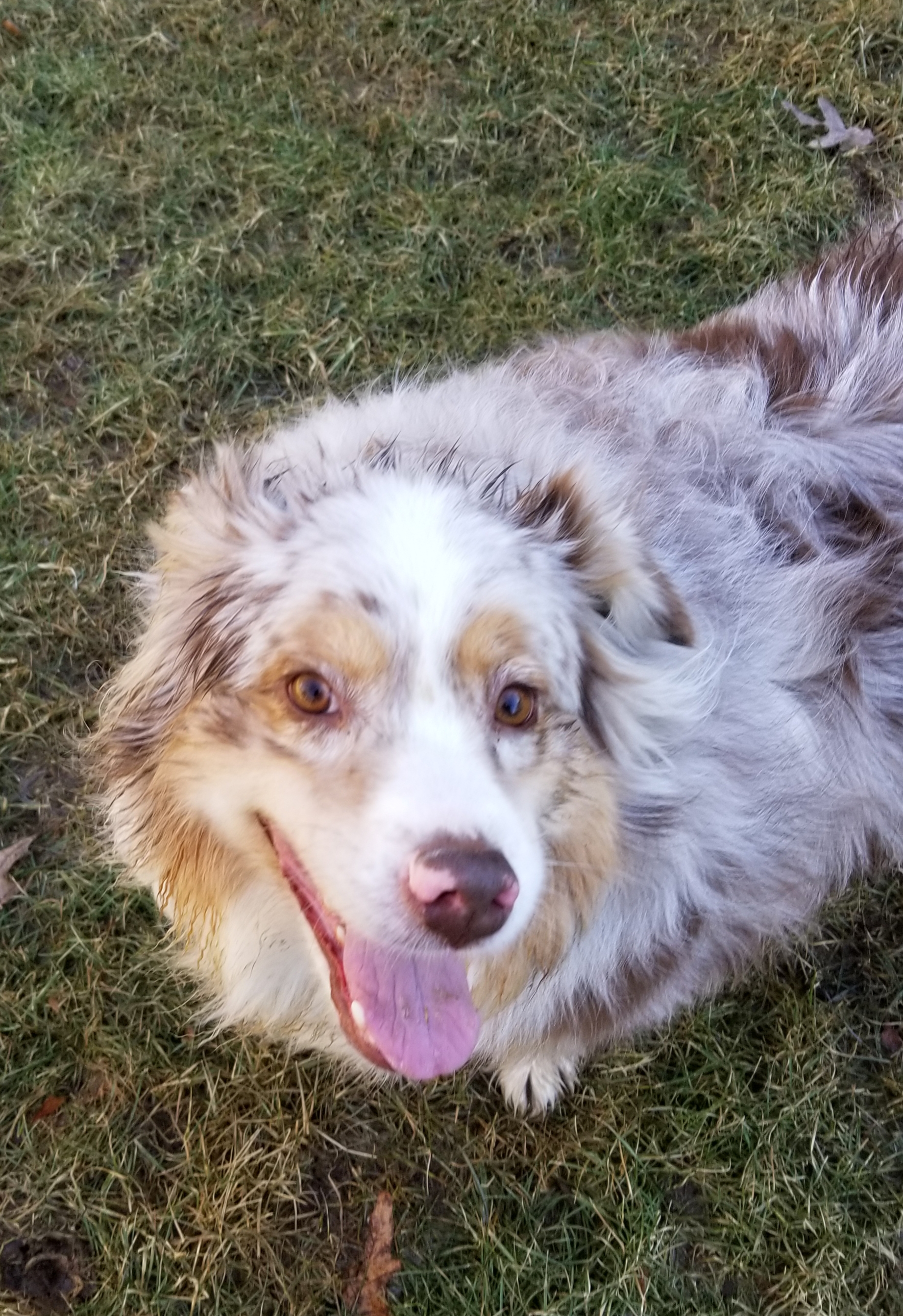 Lucy