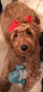 Sebastian 