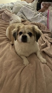 Jax