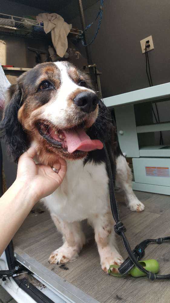 Barkley
