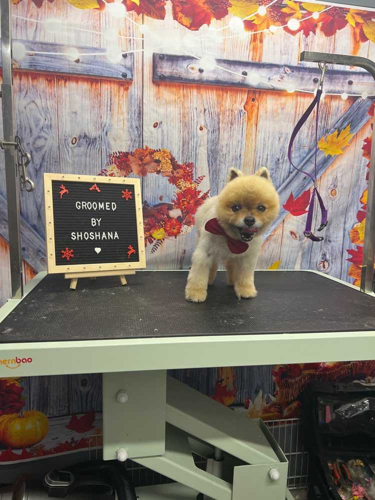 Charley