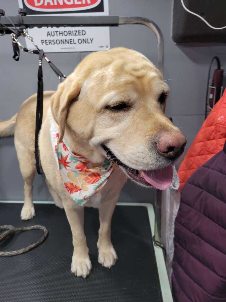 Max