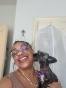 Dog Pet Photo