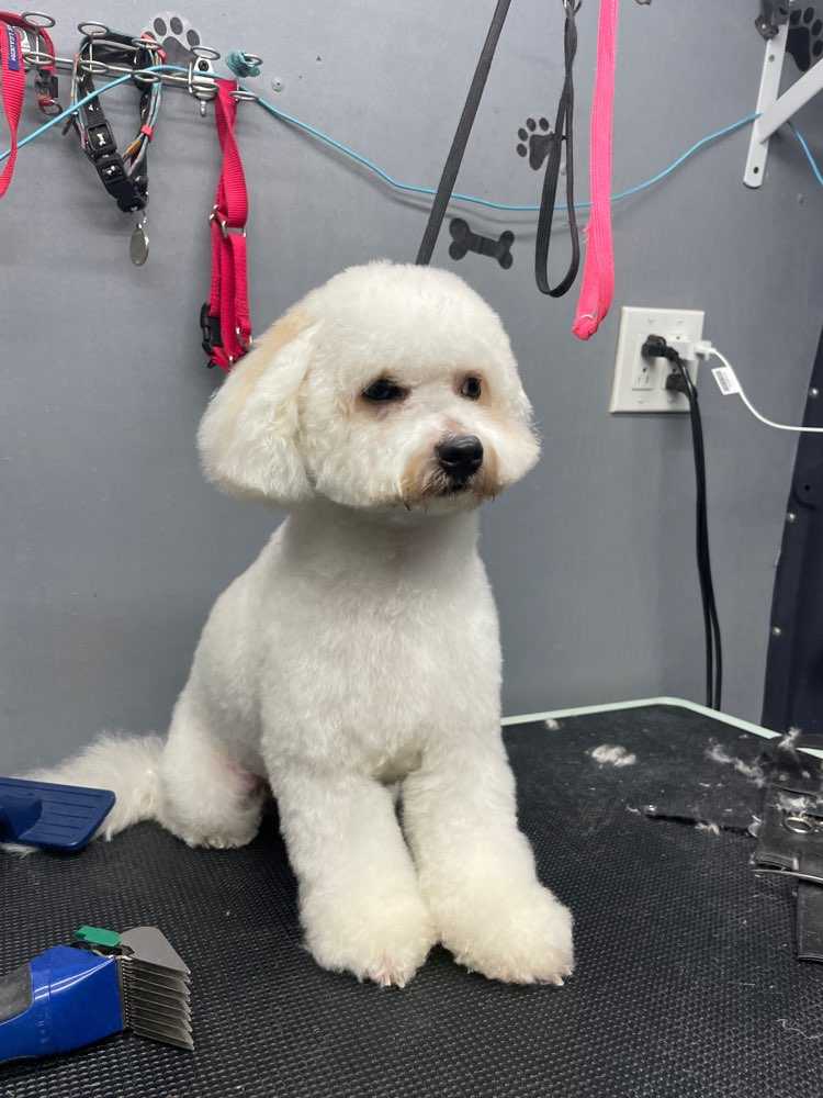 Toby