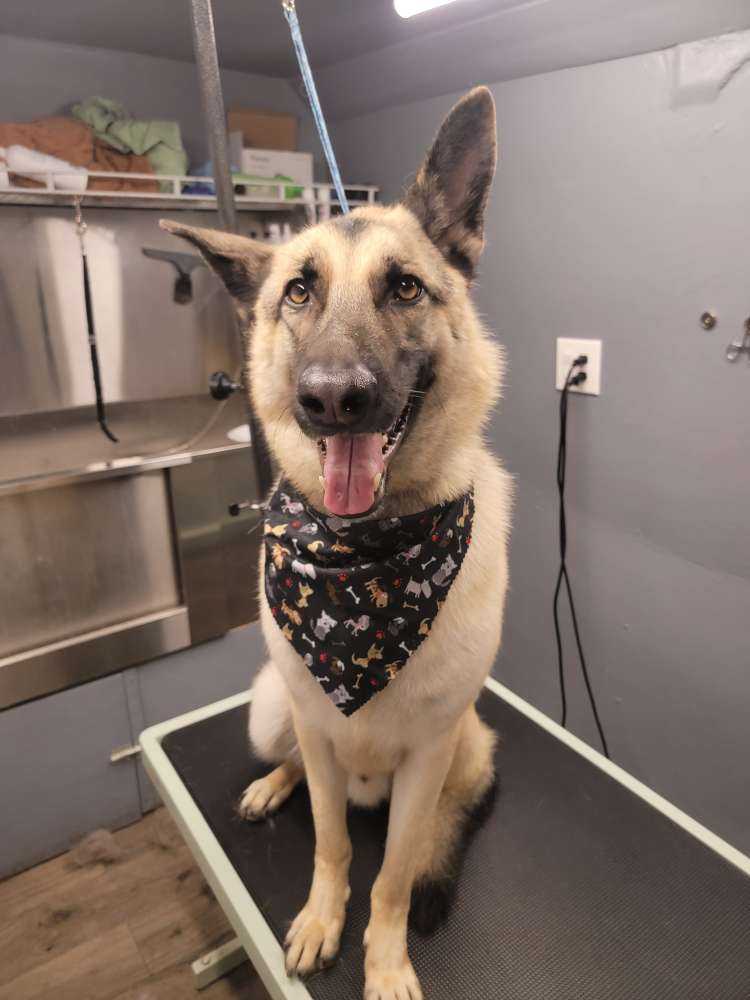 Duke