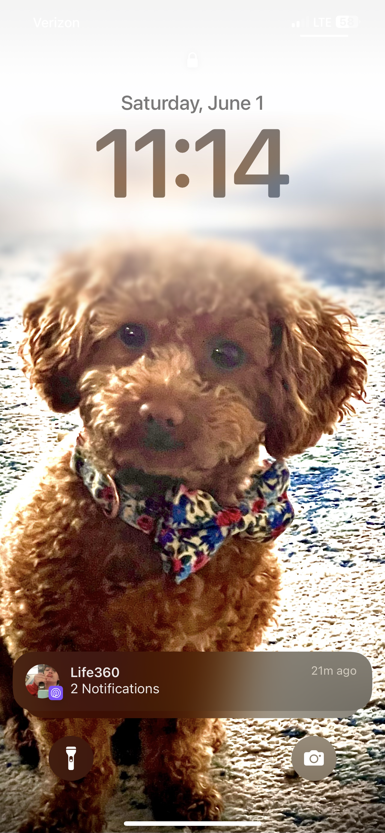 Buster Rose 09.23.2022