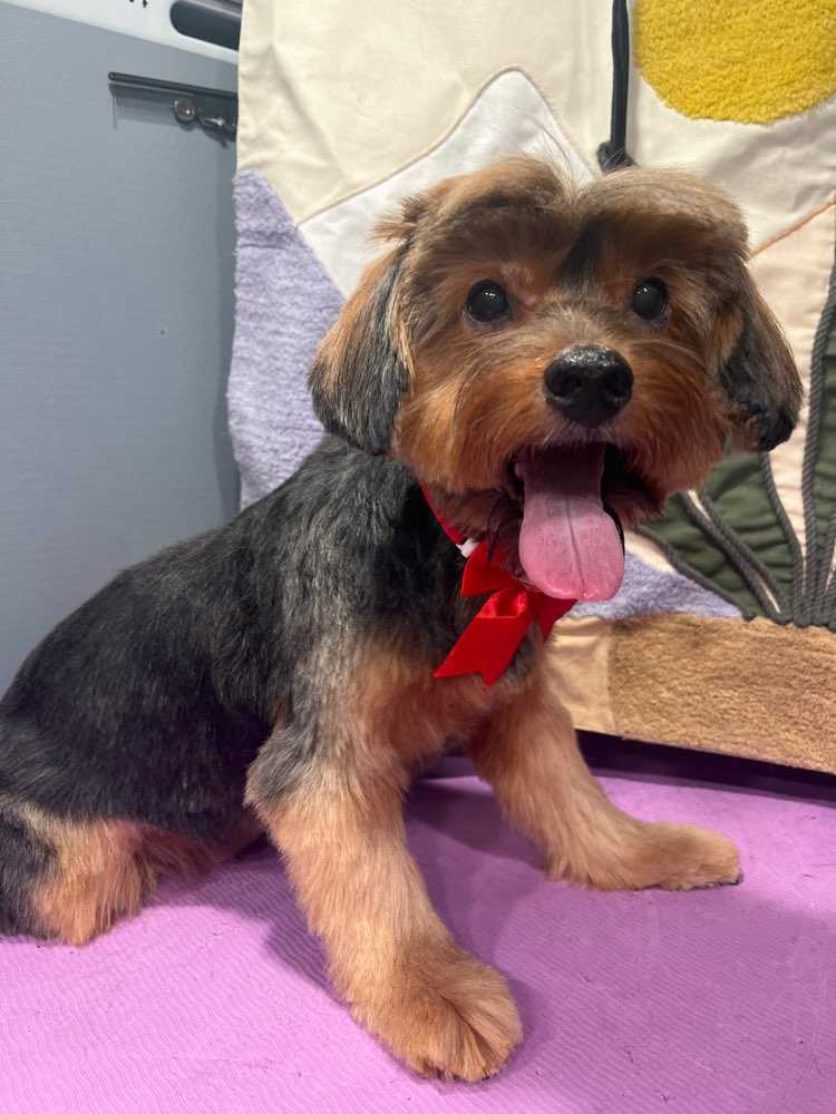 Bella Mueller