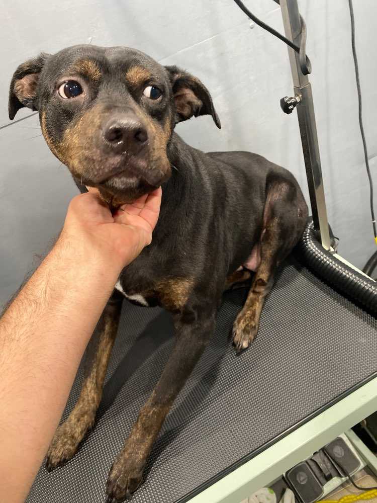 Emma 