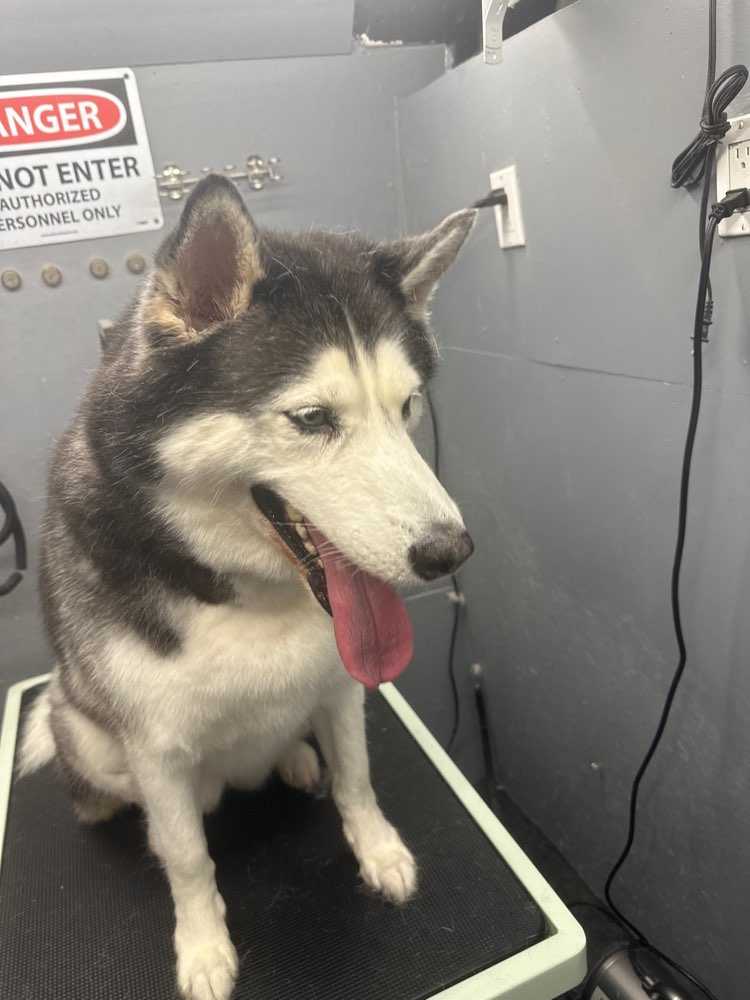 Luna