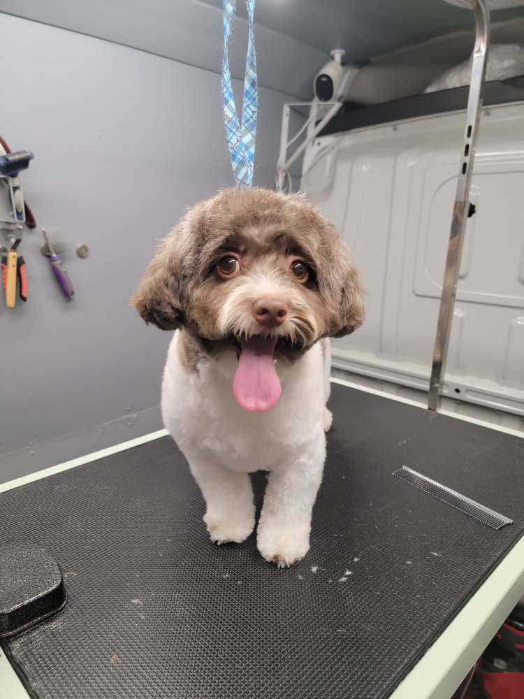 Marley