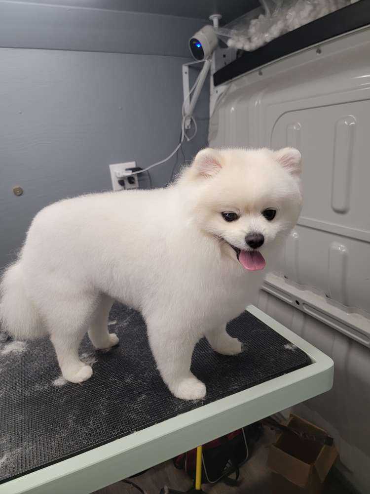 Casper