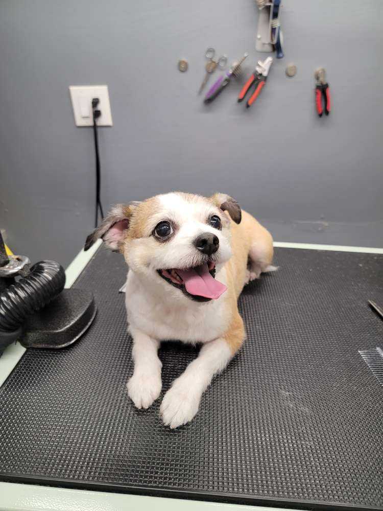 chloe 
