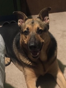 Gunner