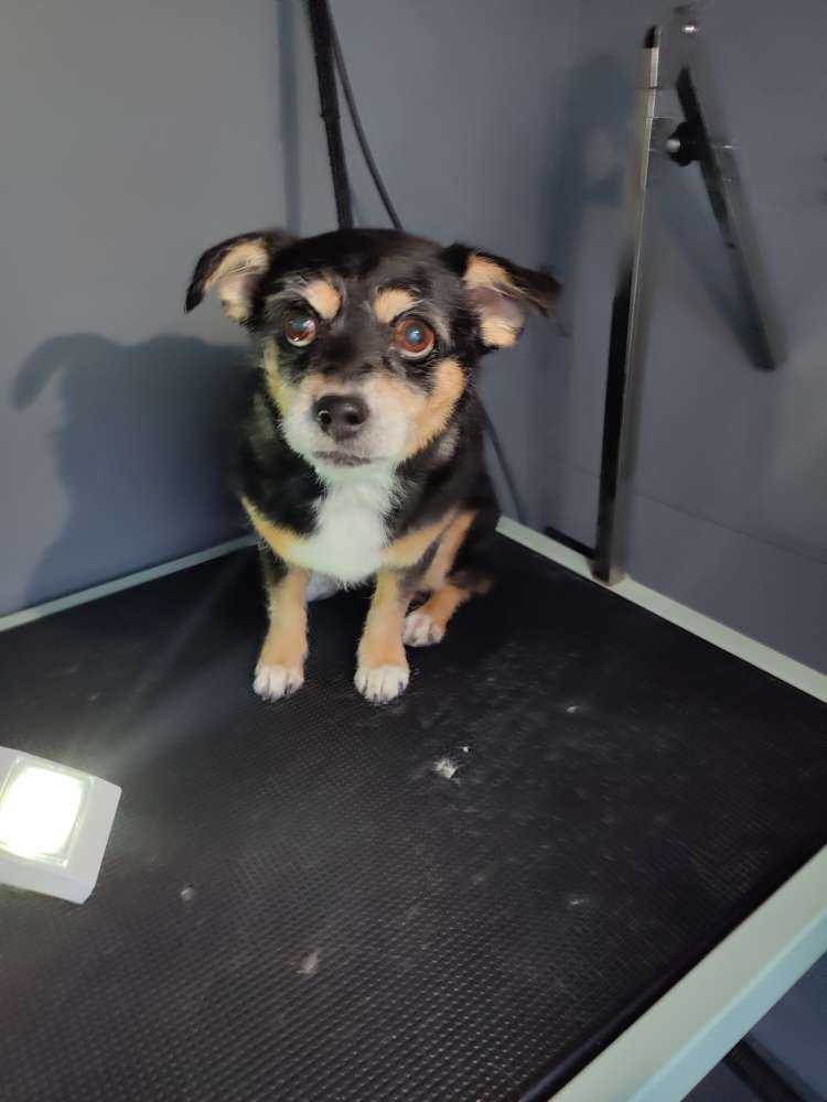 Heidi 