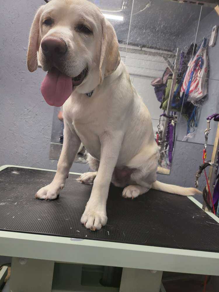 Ruger