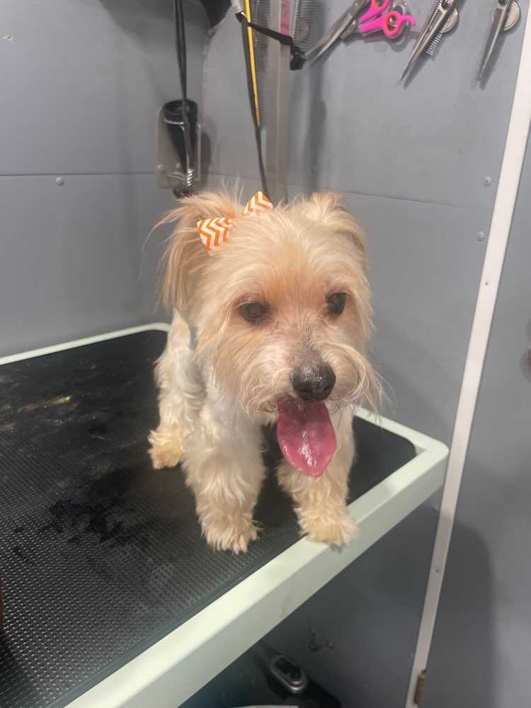 Chloe