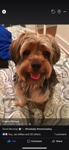 Tino