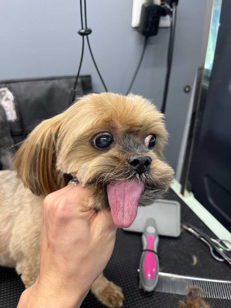 Chloe