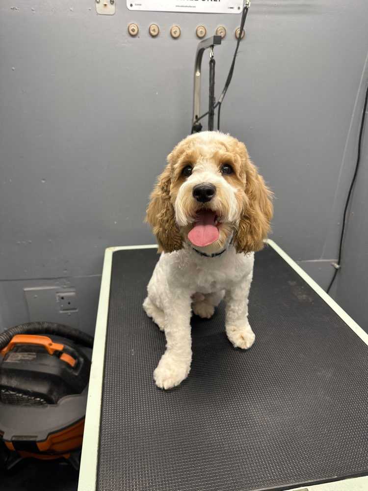 Milo