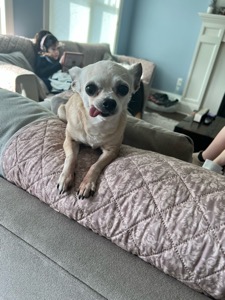 Leni