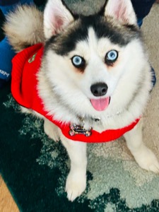 Dakota