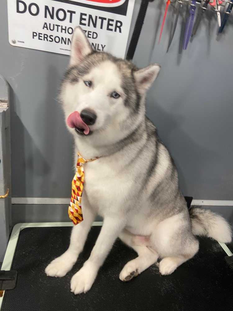 Kai