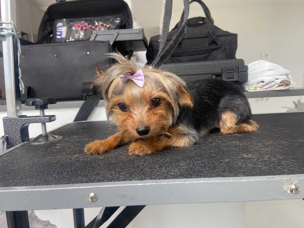 Vee