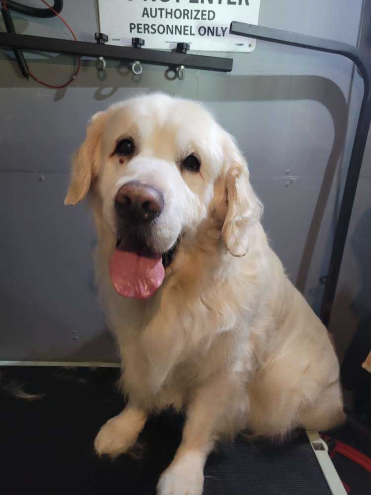 Tupper