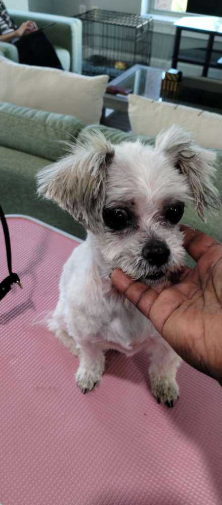 Mindy