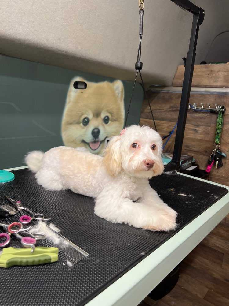 Coco
