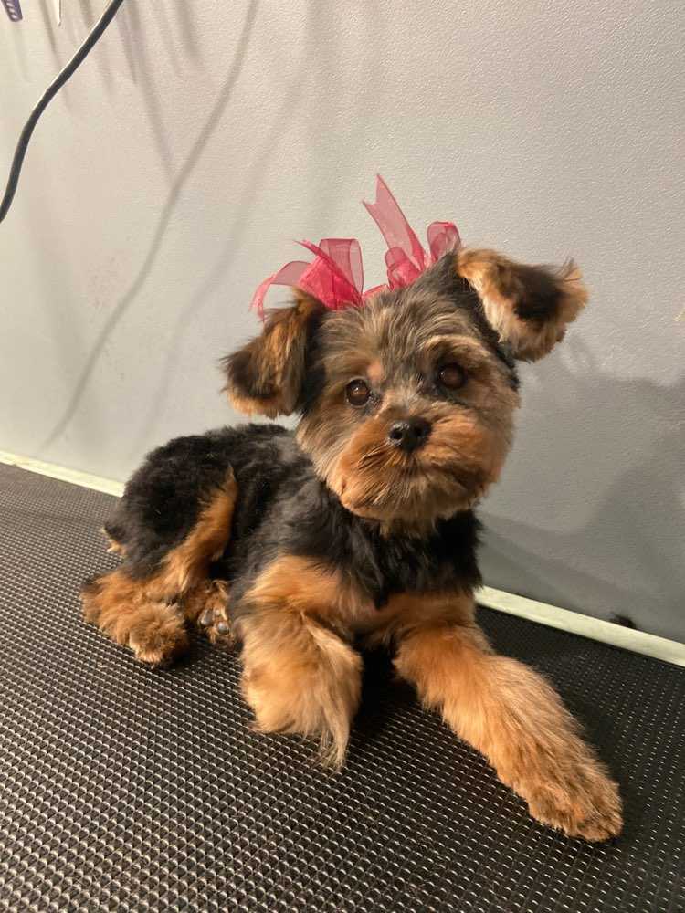 Maggie Mae