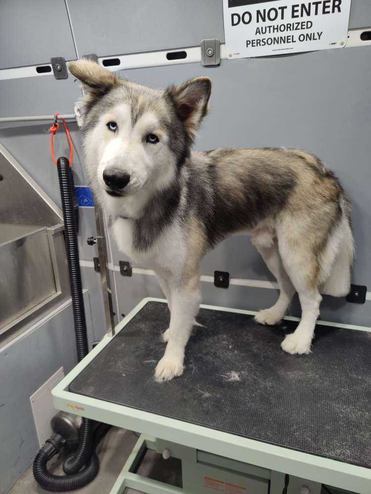 Max
