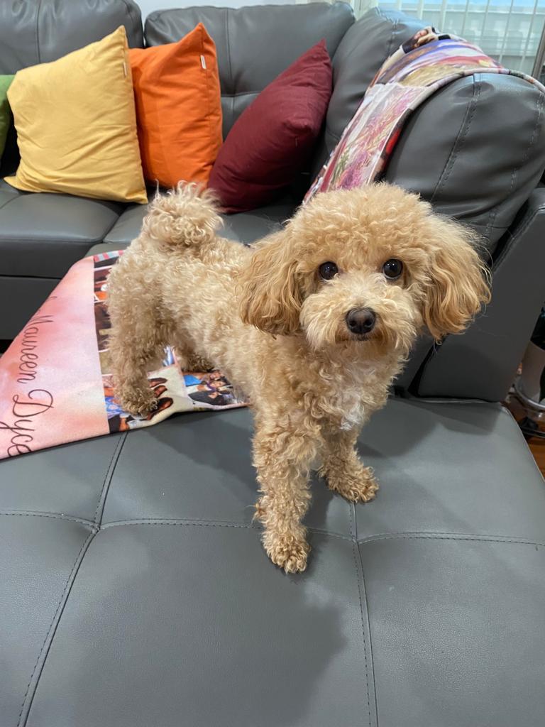 BELLA