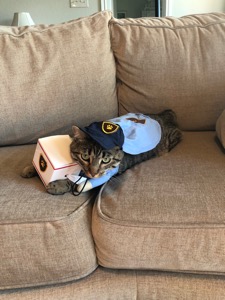 Kiki