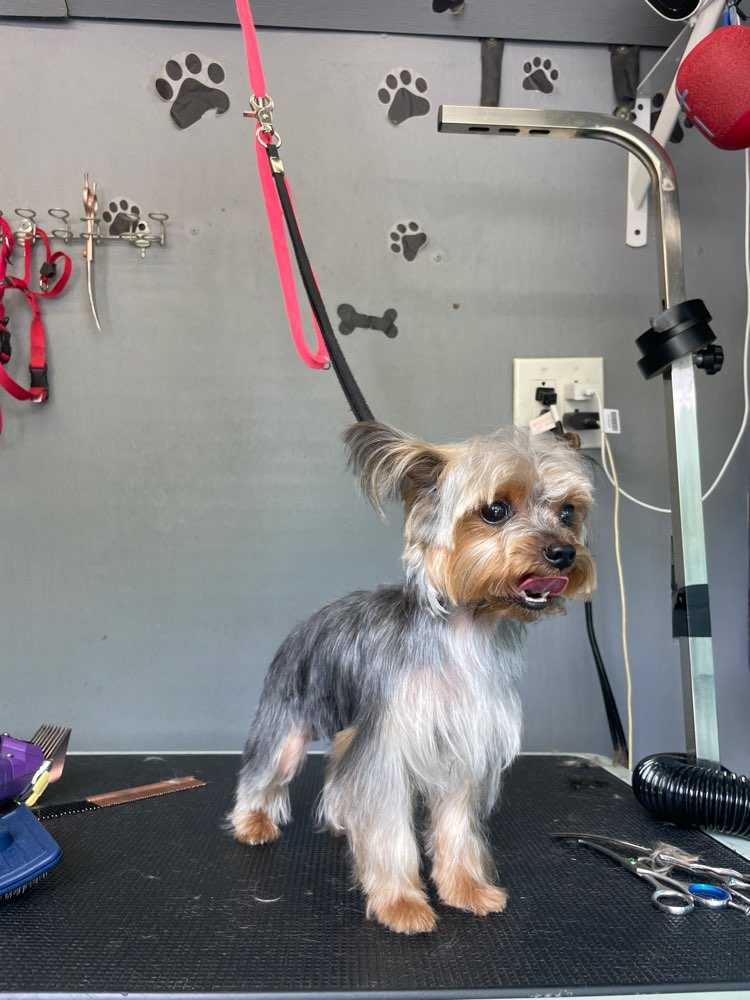 Coco
