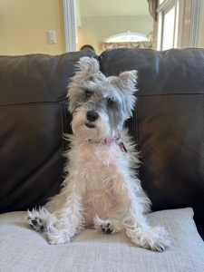 Winnie