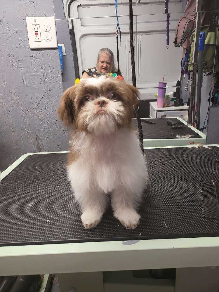 Coco