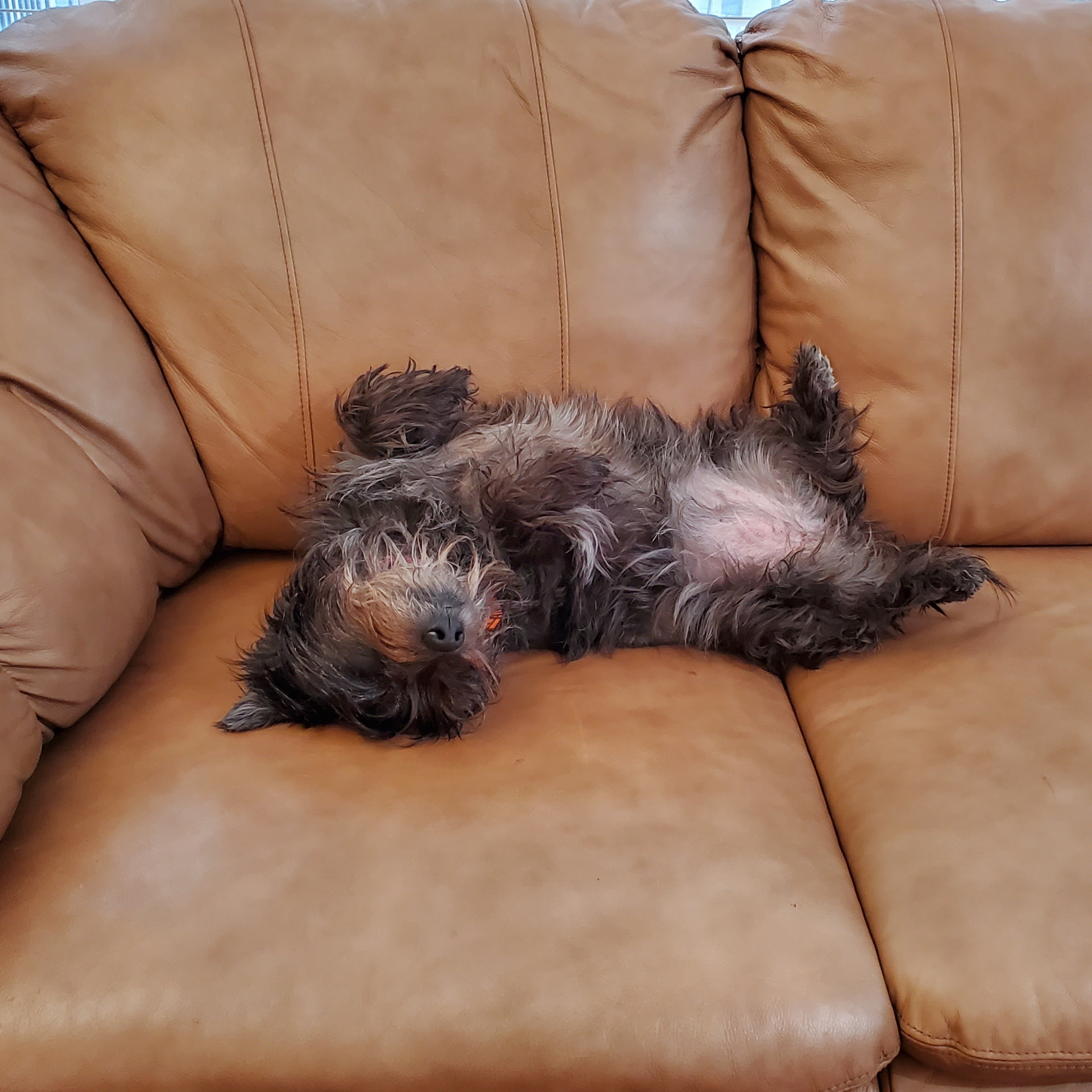 Zoe