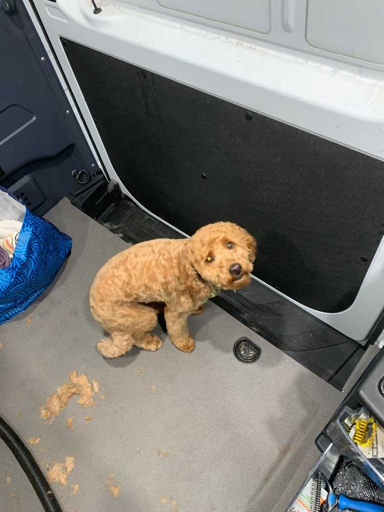 Toby
