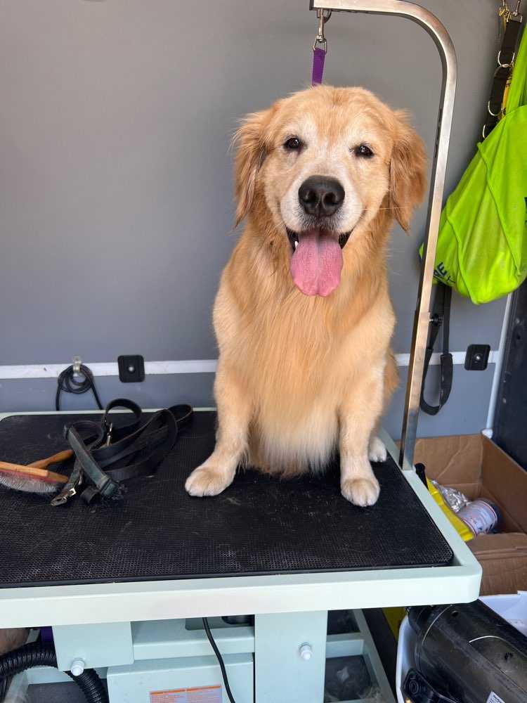 Kodak