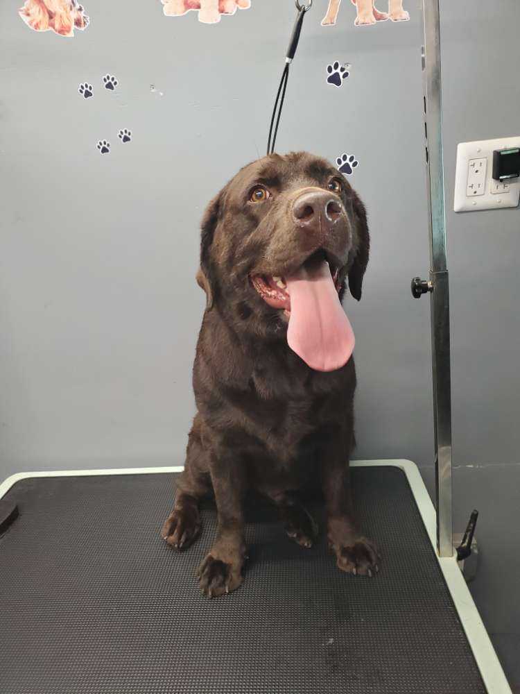 Max