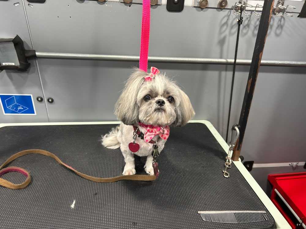 Mimi