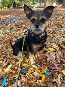 Coco