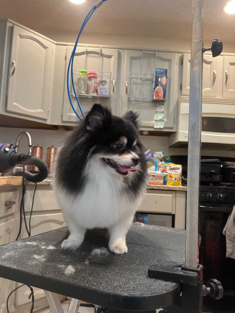 Jax